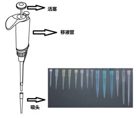 上海伯东 Europlasma 等离子机减少移液吸头液体滞留的解决方案