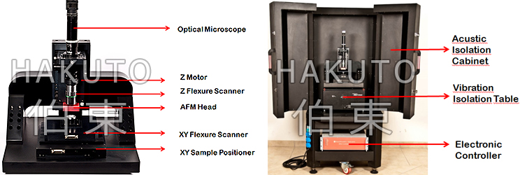 hpAFM-高性能原子力显微镜