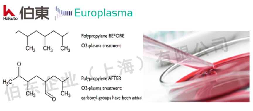细胞培养耗材为什么需要 TC 表面处理