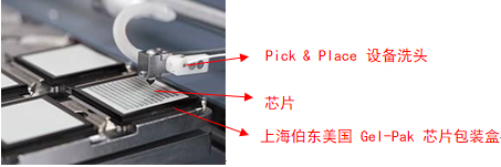 Gel-pak 芯片包装盒