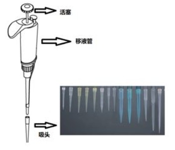 Europlasma 等离子机减少移液吸头液体滞留的解决方案