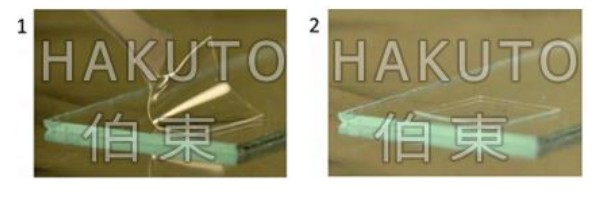 Gel-Pak 胶膜在二维材料转移中的应用