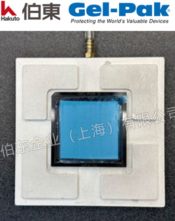 Gel-Pak 超净真空释放盒